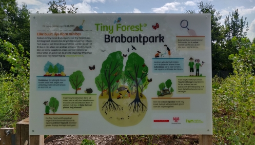 Nieuwe natuur in Brabantpark